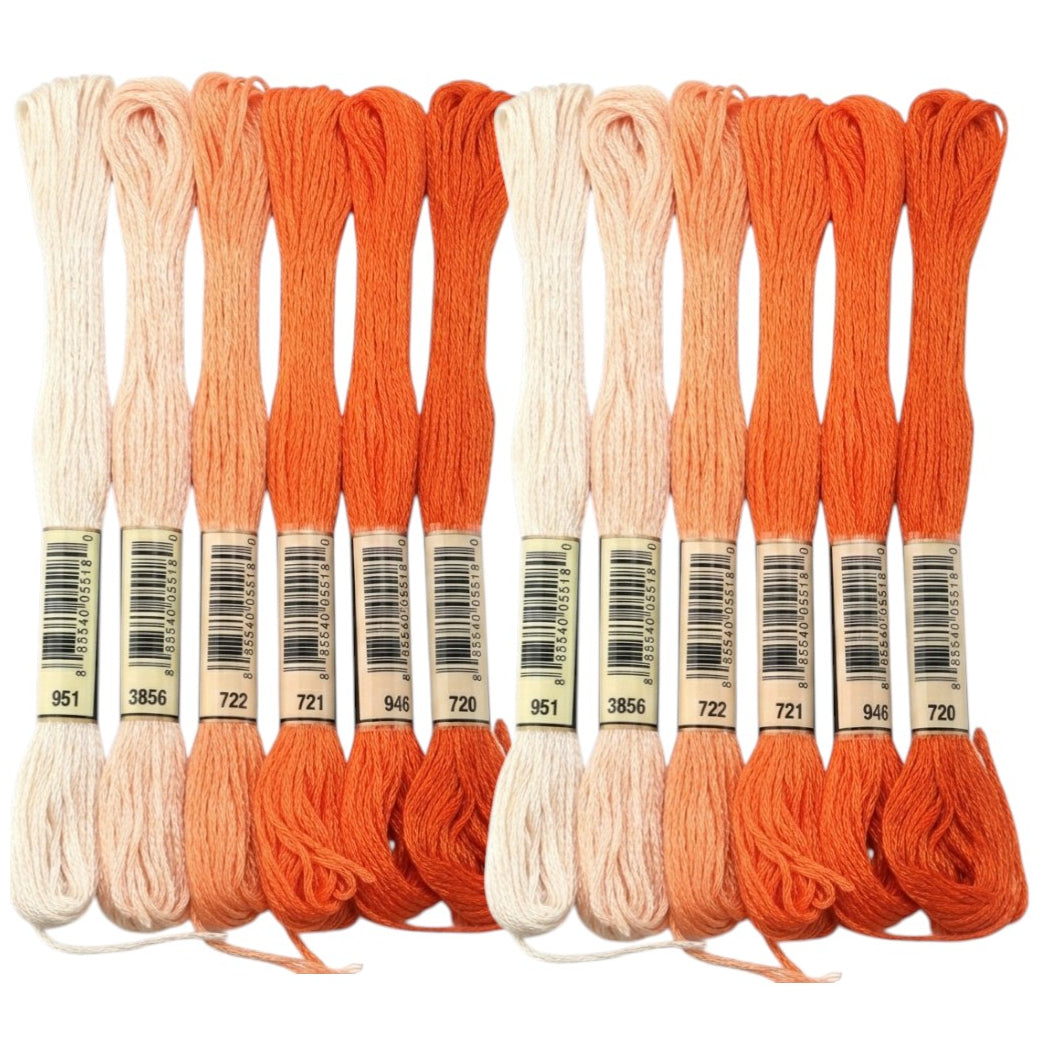 Embroidery Floss Set for Cross Stitch, Friendship Bracelets, Crafts, and DIY Projects, Pack of 12