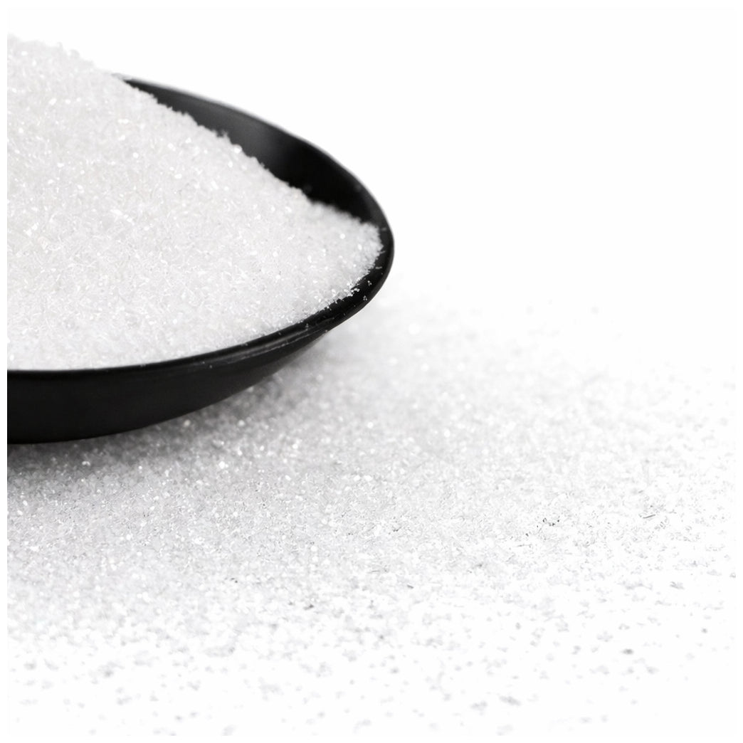 180g Holographic Ultra Fine Glitter Powder for Resin Tumblers Nails Crafts and DIY Decorations