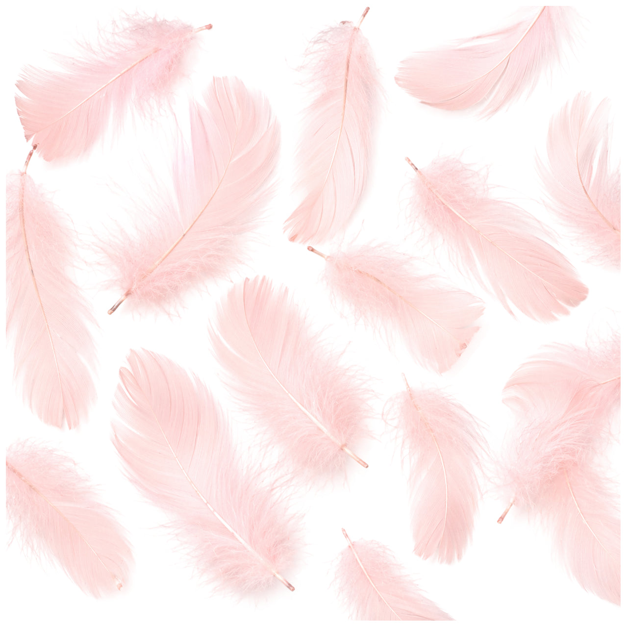 Colorful Rooster Feathers 3 to 5 Inch Craft Feathers Bulk for DIY Crafts Decorations Dream Catcher Supplies, Pack of 300