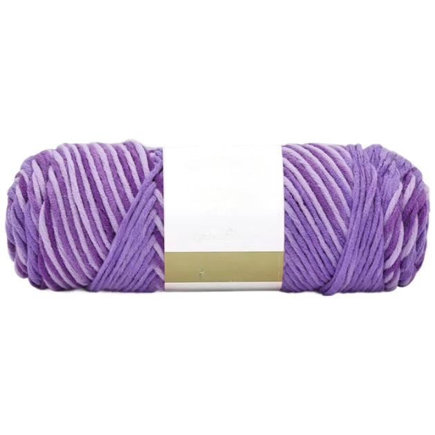 8-Ply Variegated Acrylic Yarn, Worsted Weight, Size 4 for Knitting and Crochet Projects, 100 Grams/3.53oz 155 yards