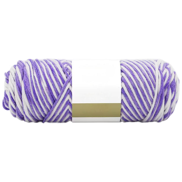 8-Ply Variegated Acrylic Yarn, Worsted Weight, Size 4 for Knitting and Crochet Projects, 100 Grams/3.53oz 155 yards