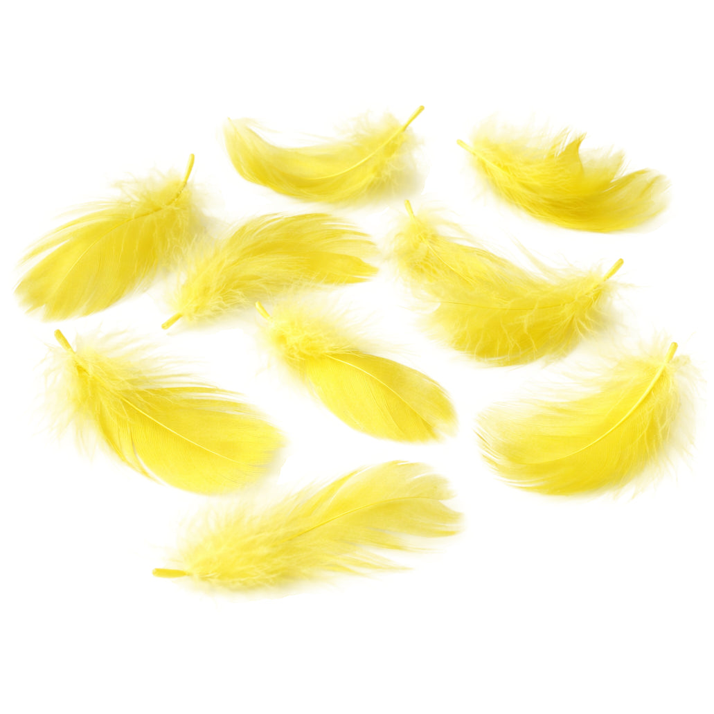 Colorful Rooster Feathers 3 to 5 Inch Craft Feathers Bulk for DIY Crafts Decorations Dream Catcher Supplies, Pack of 300