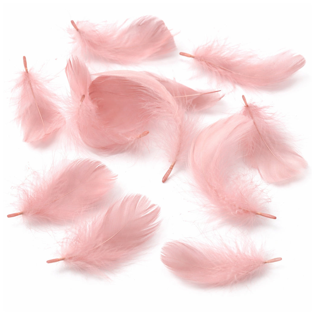 Colorful Rooster Feathers 3 to 5 Inch Craft Feathers Bulk for DIY Crafts Decorations Dream Catcher Supplies, Pack of 300