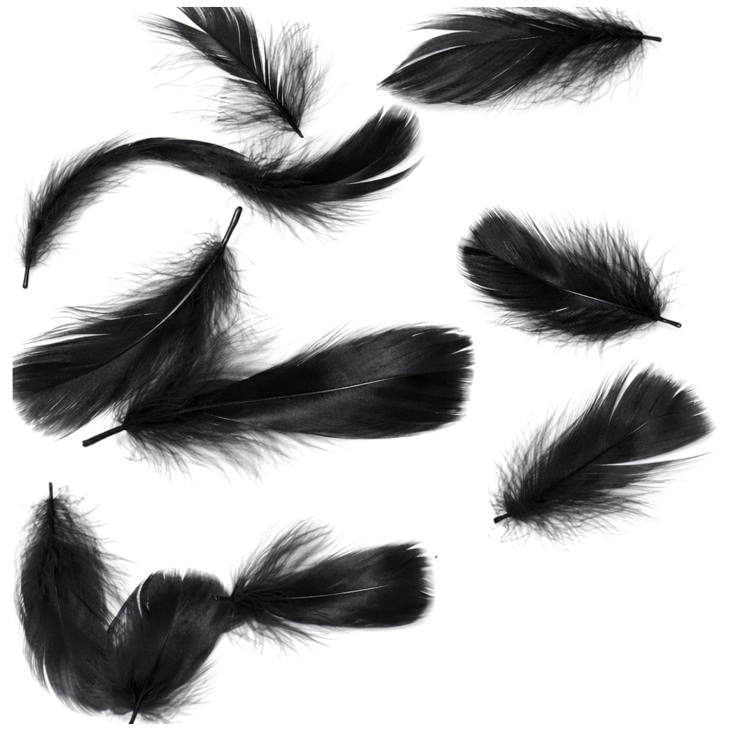 Colorful Rooster Feathers 3 to 5 Inch Craft Feathers Bulk for DIY Crafts Decorations Dream Catcher Supplies, Pack of 300