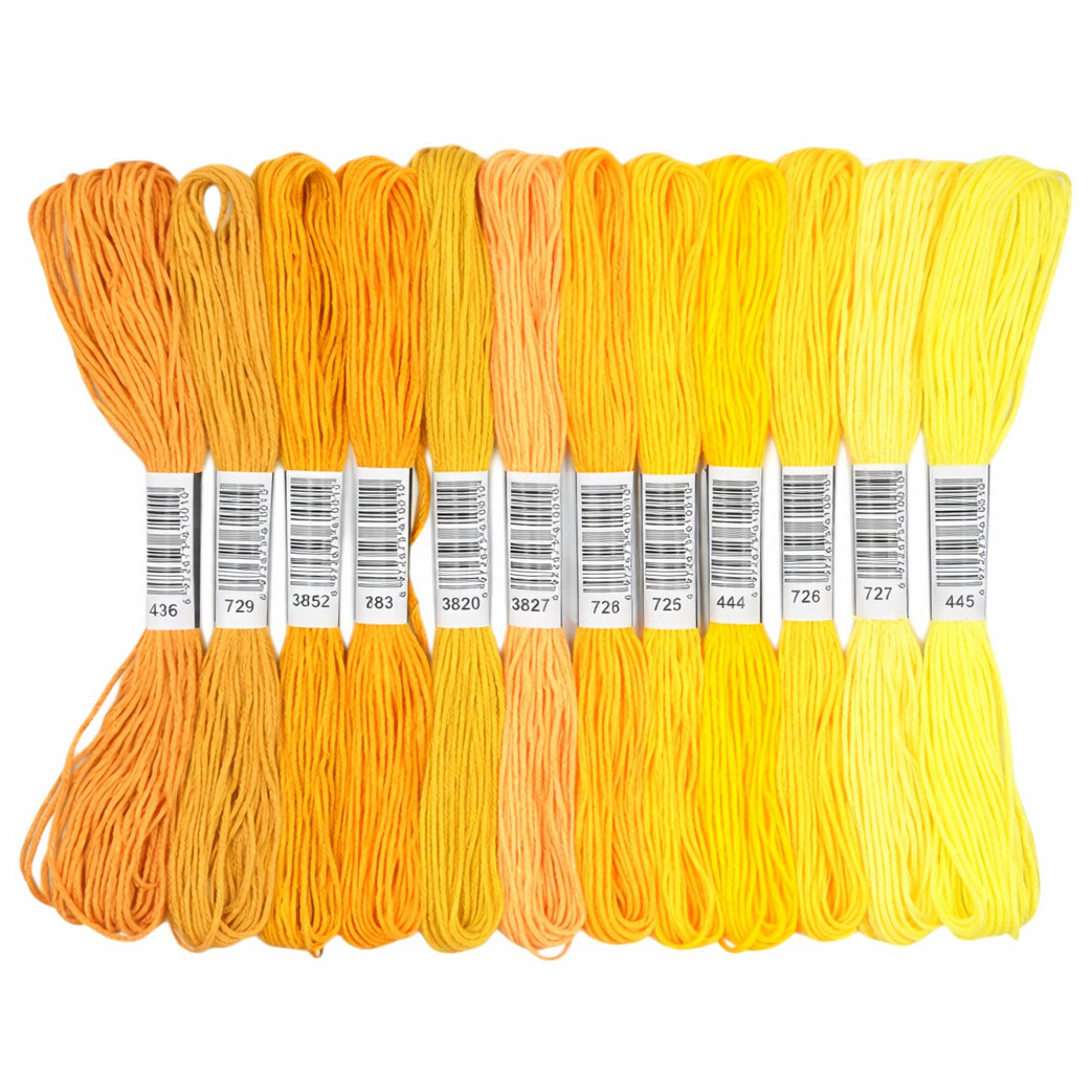 Embroidery Floss Set for Cross Stitch, Friendship Bracelets, Crafts, and DIY Projects, Pack of 12