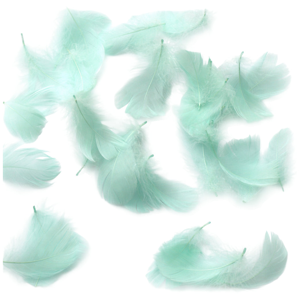 Colorful Rooster Feathers 3 to 5 Inch Craft Feathers Bulk for DIY Crafts Decorations Dream Catcher Supplies, Pack of 300