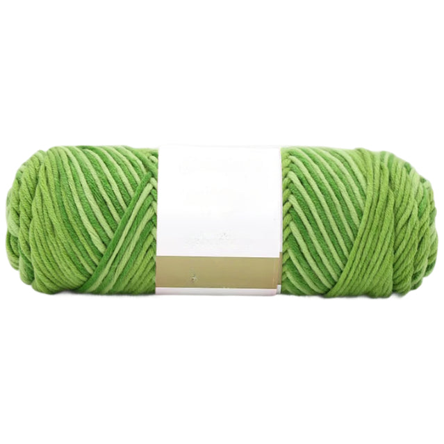 8-Ply Variegated Acrylic Yarn, Worsted Weight, Size 4 for Knitting and Crochet Projects, 100 Grams/3.53oz 155 yards