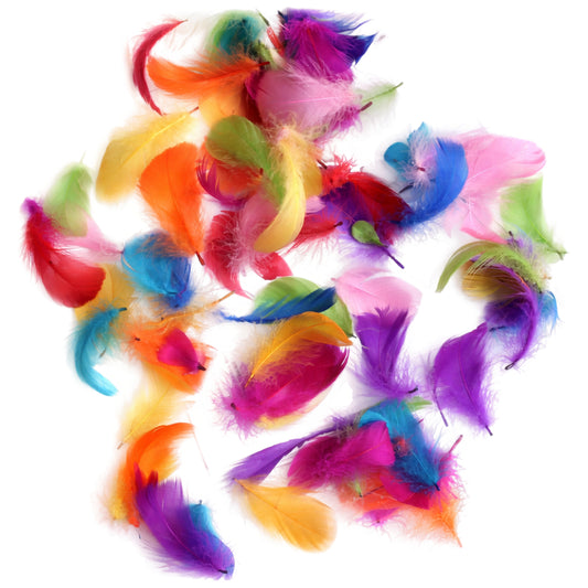 Colorful Rooster Feathers 3 to 5 Inch Craft Feathers Bulk for DIY Crafts Decorations Dream Catcher Supplies, Pack of 300
