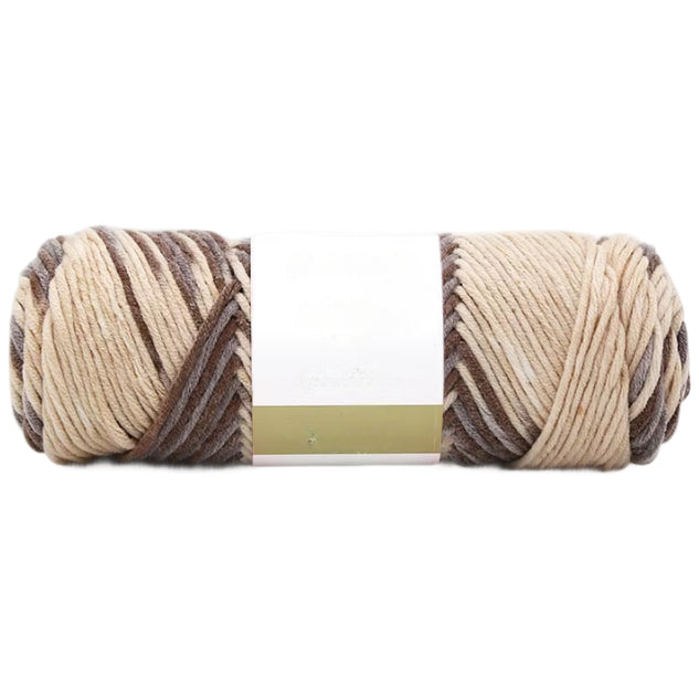 8-Ply Variegated Acrylic Yarn, Worsted Weight, Size 4 for Knitting and Crochet Projects, 100 Grams/3.53oz 155 yards