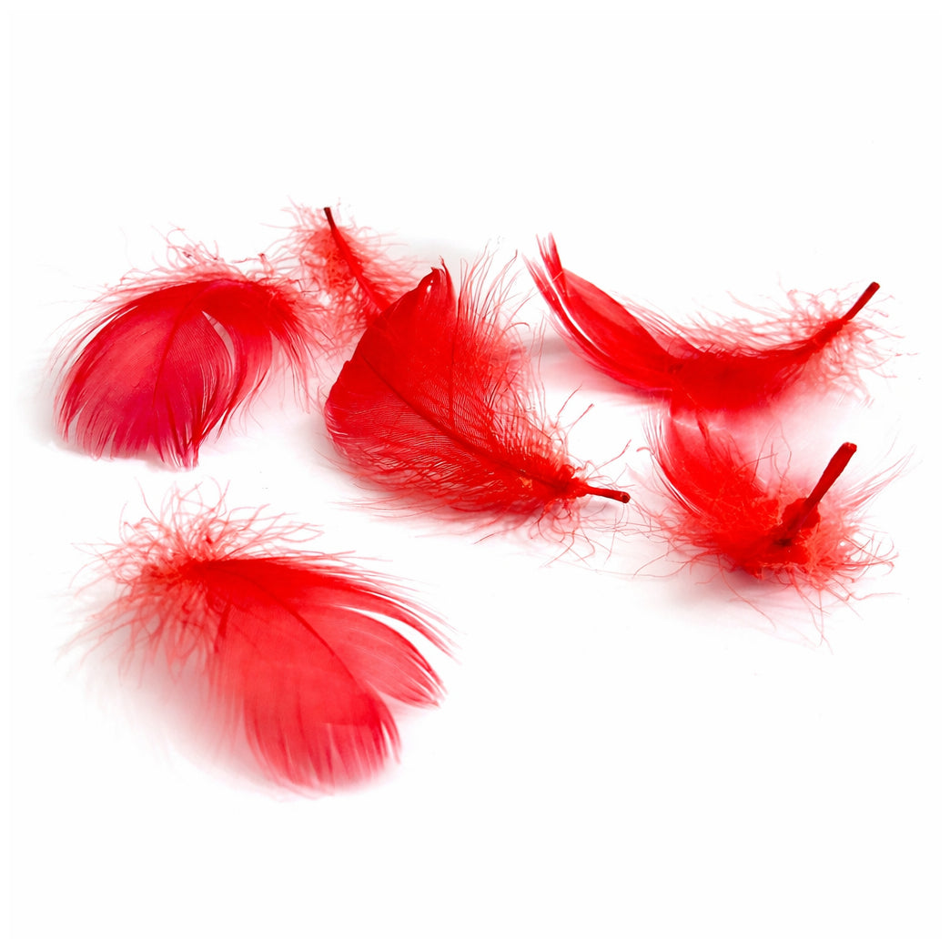 Colorful Rooster Feathers 3 to 5 Inch Craft Feathers Bulk for DIY Crafts Decorations Dream Catcher Supplies, Pack of 300