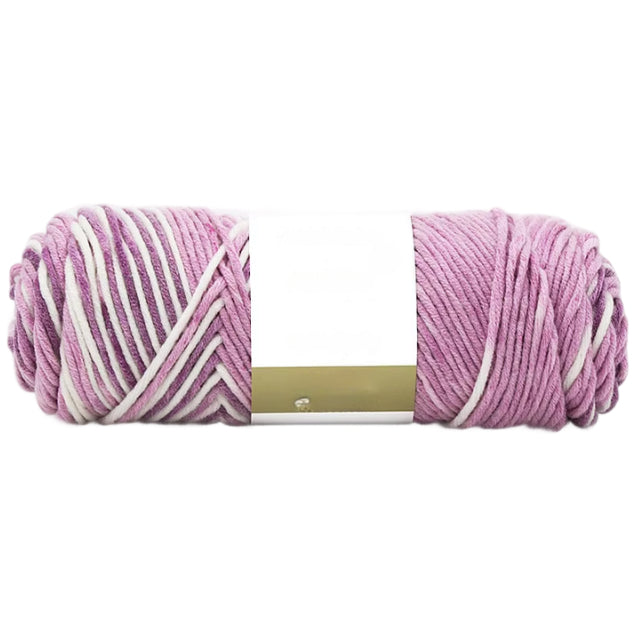 8-Ply Variegated Acrylic Yarn, Worsted Weight, Size 4 for Knitting and Crochet Projects, 100 Grams/3.53oz 155 yards